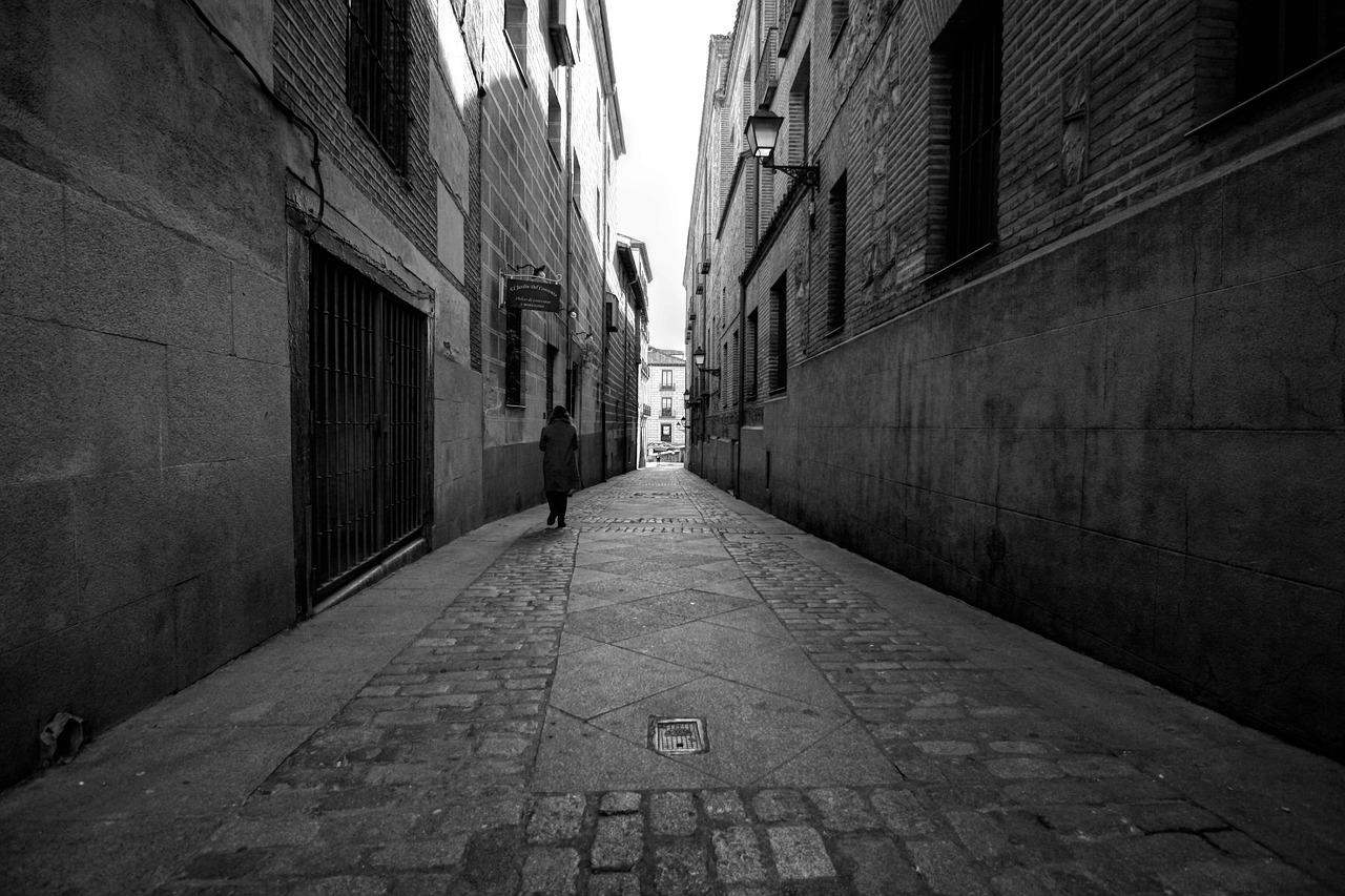 Palacio de los Austrias