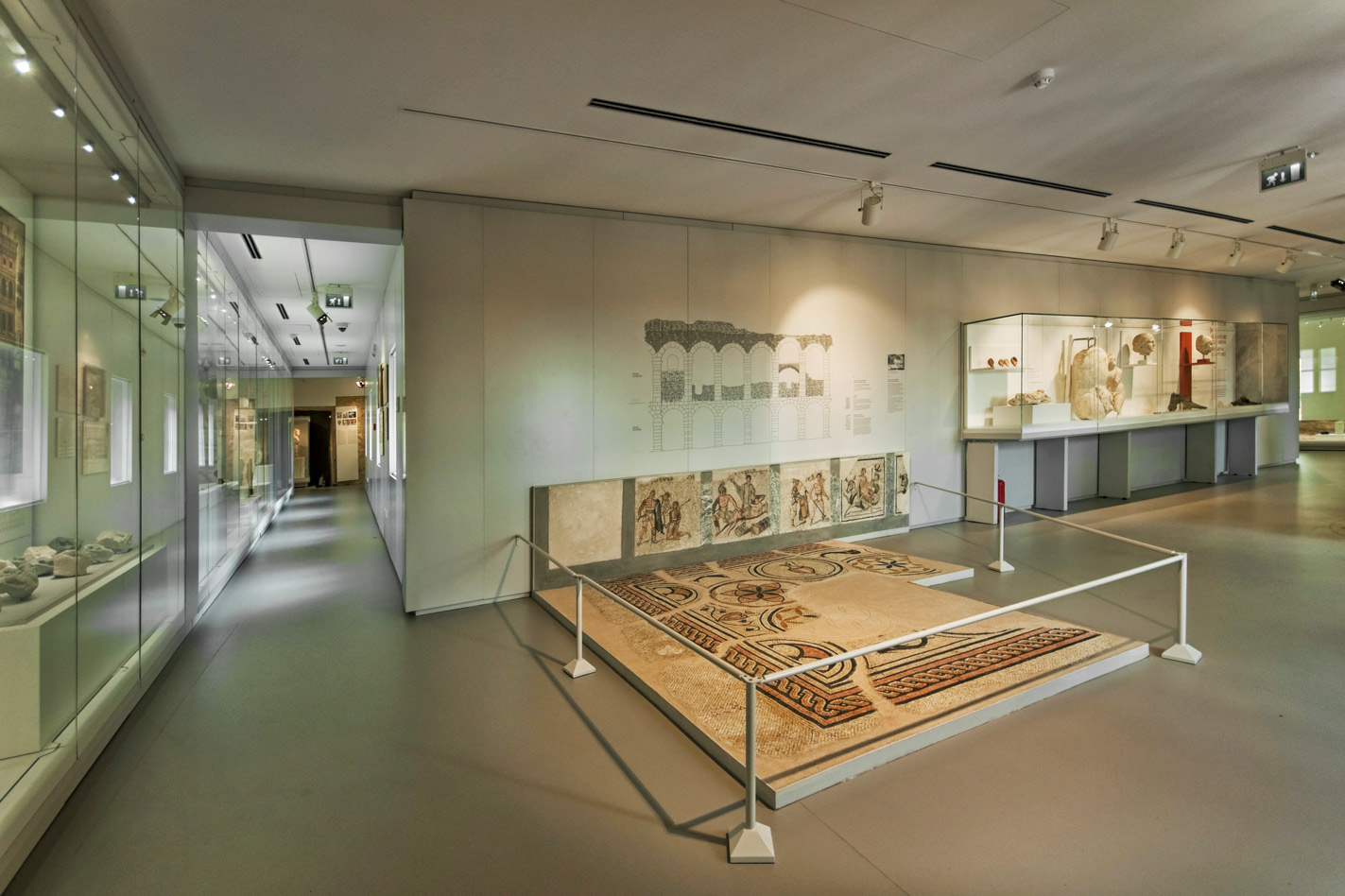 Exhibiciones del museo