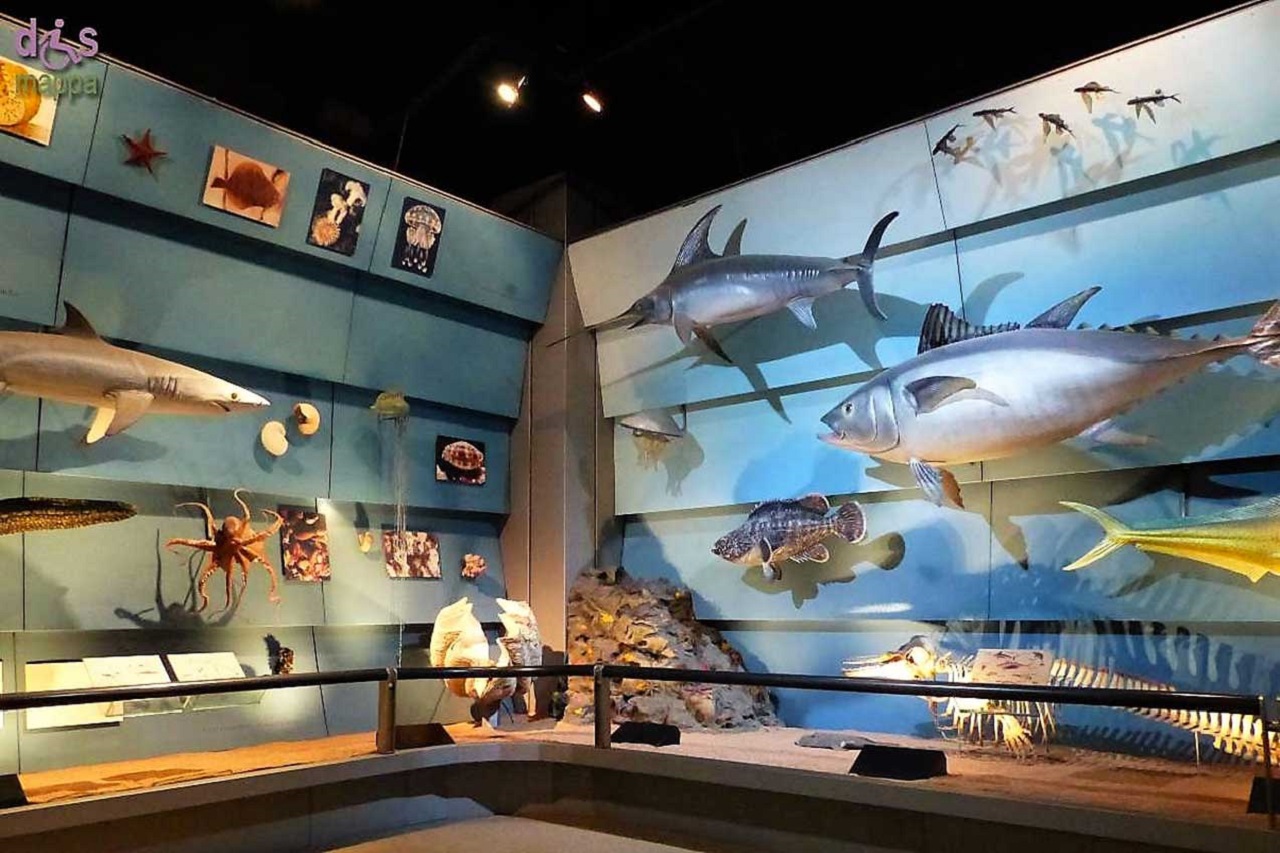 Museo cívico de historia natural de Verona